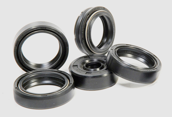 Oil Seals